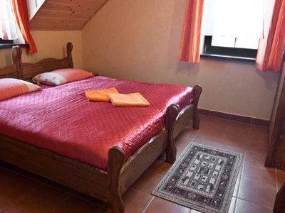 Apartament 49